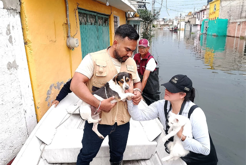 Los albergues se instalaron en Chalco, Valle de Chalco y Texcoco. Foto: Gobierno del Edomex 