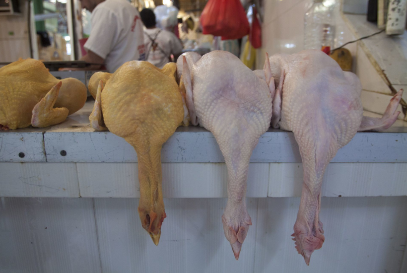 Rechazan muerte de paciente en el INER por gripe aviar