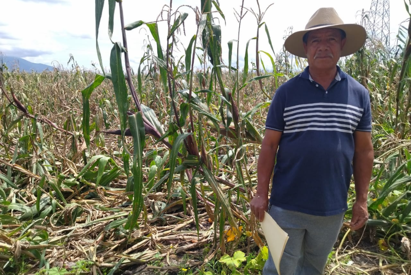 Secretaría del Campo