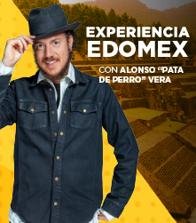 Experiencia EDOMEX