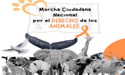 Marcha A Favor de los “Derechos Animales”